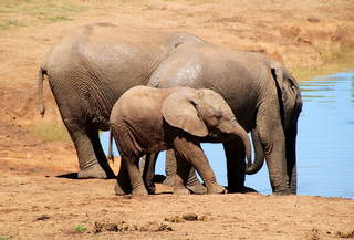 Mossel Bay Nature Activities Mossel Bay Nature Activitiesn